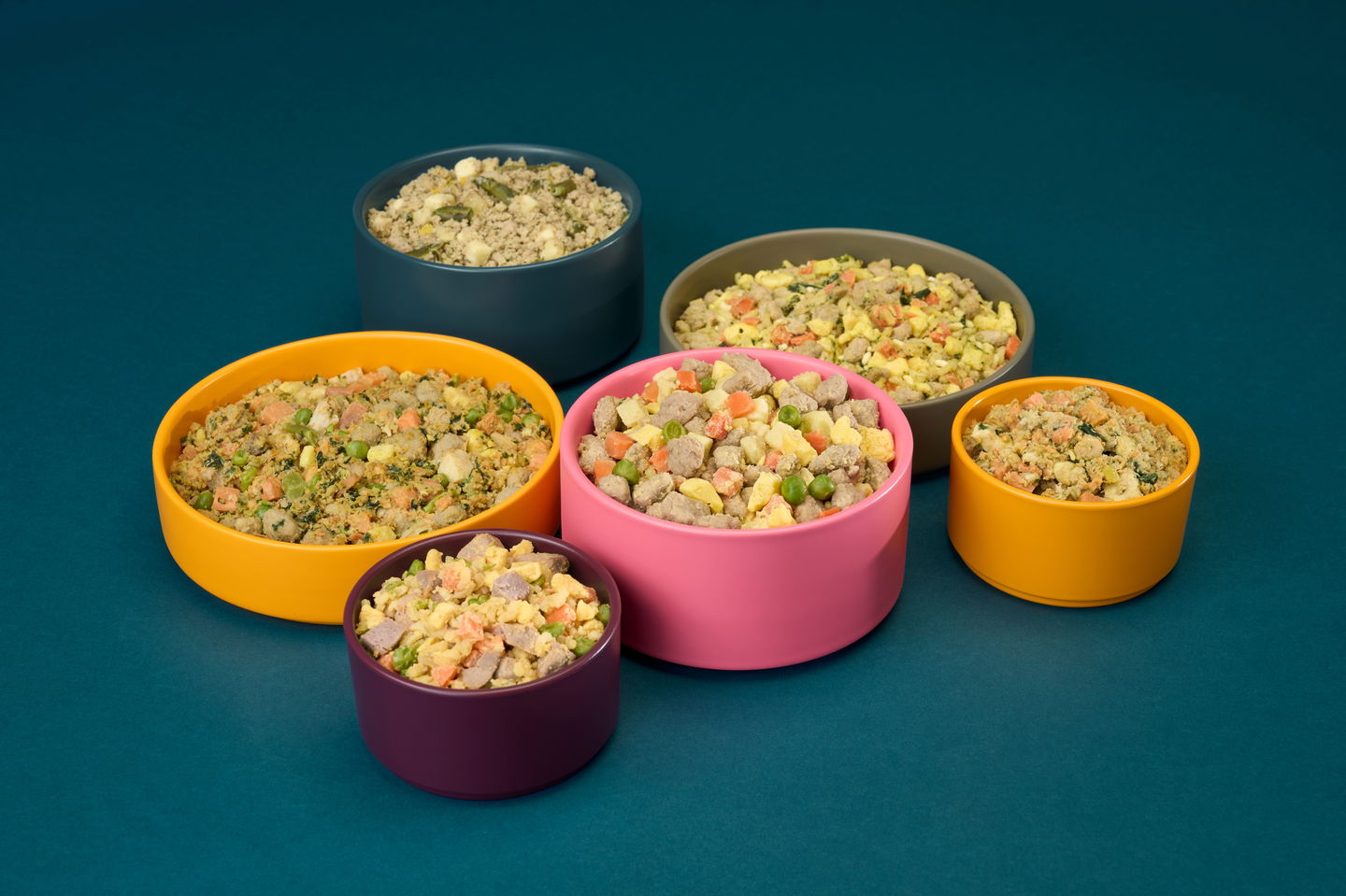 Save 50% on hearty and nutritious meals for your dog today