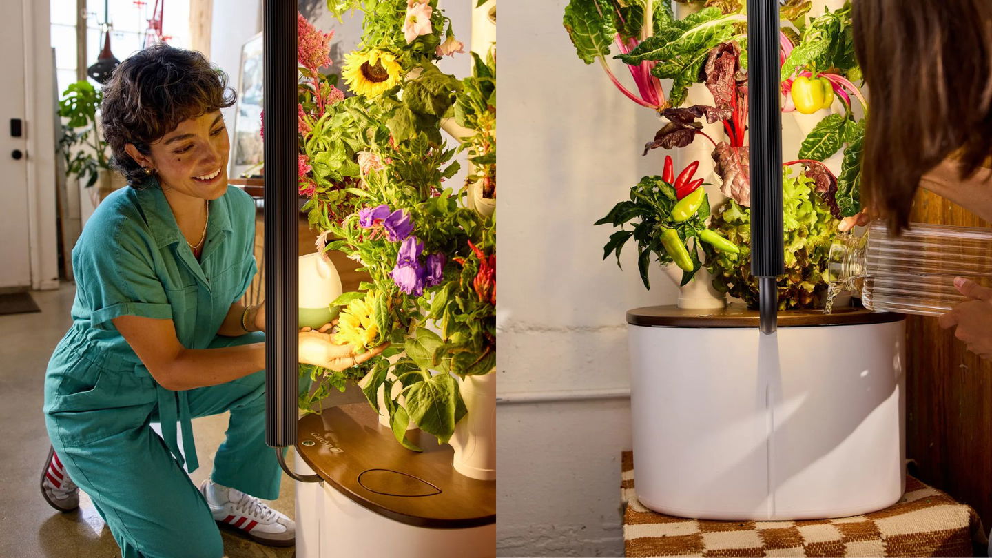 Grow big in small spaces with Gardyn's innovative indoor grower